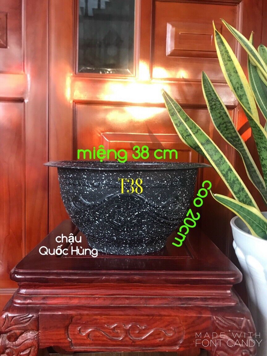Combo 10 chậu trồng cây đá đen T38