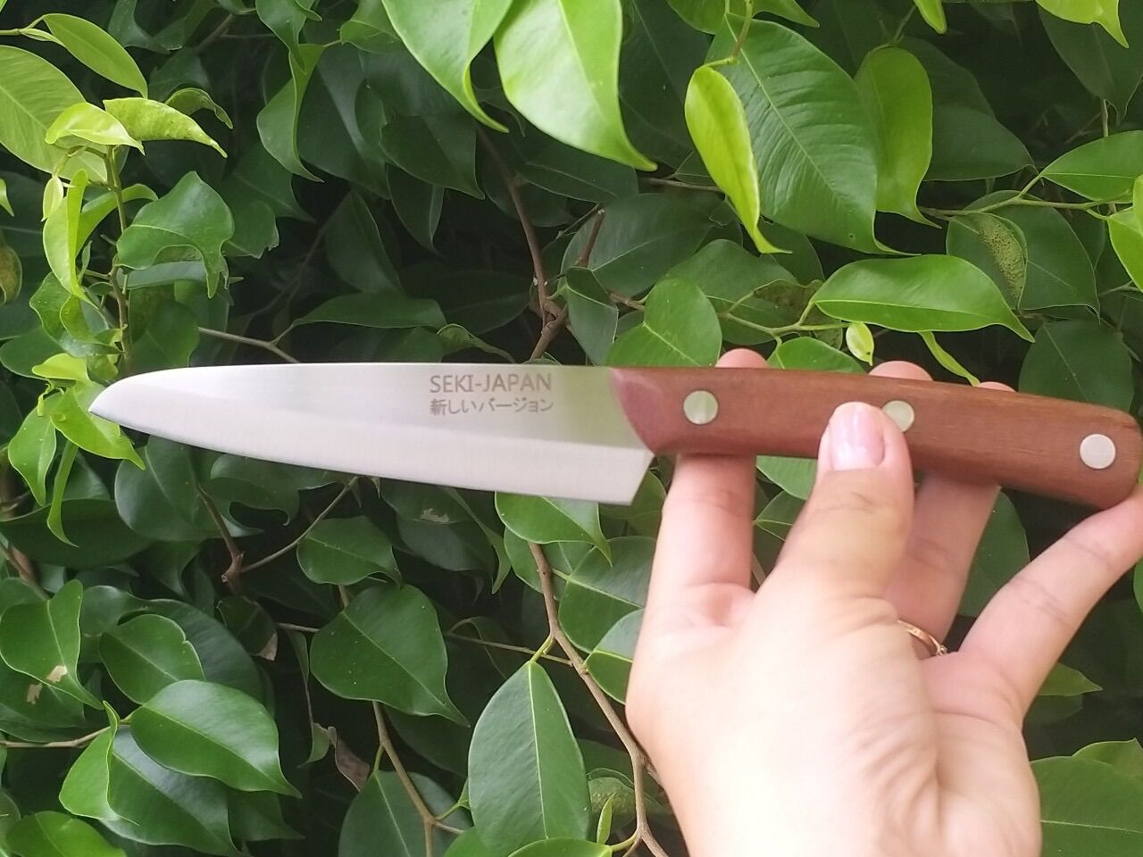 dao bo seki japan cao cap