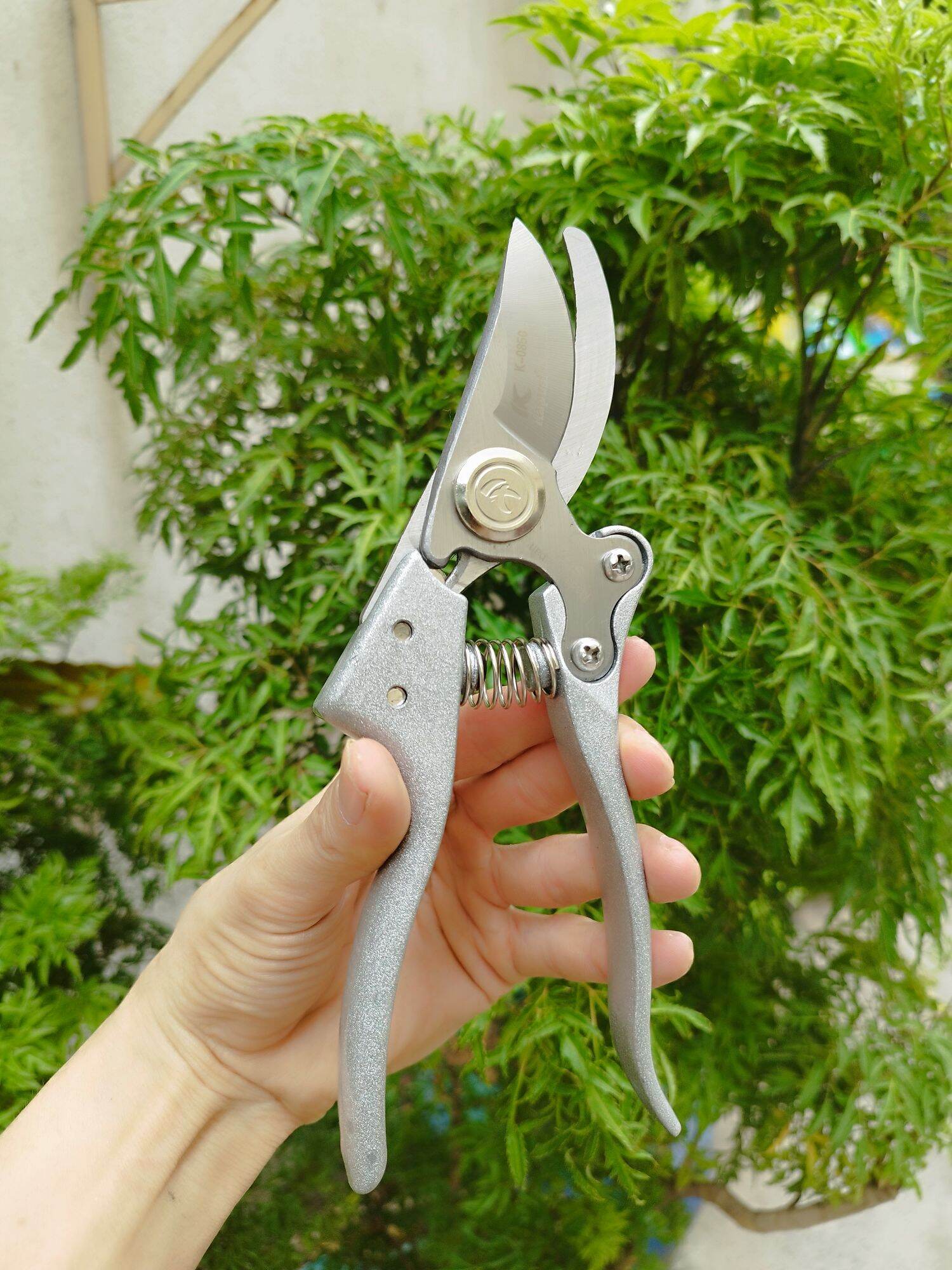kéo cắt cành kapusi