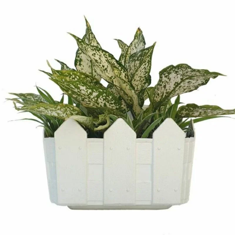 chậu ốp tường hàng rào dài 25cm