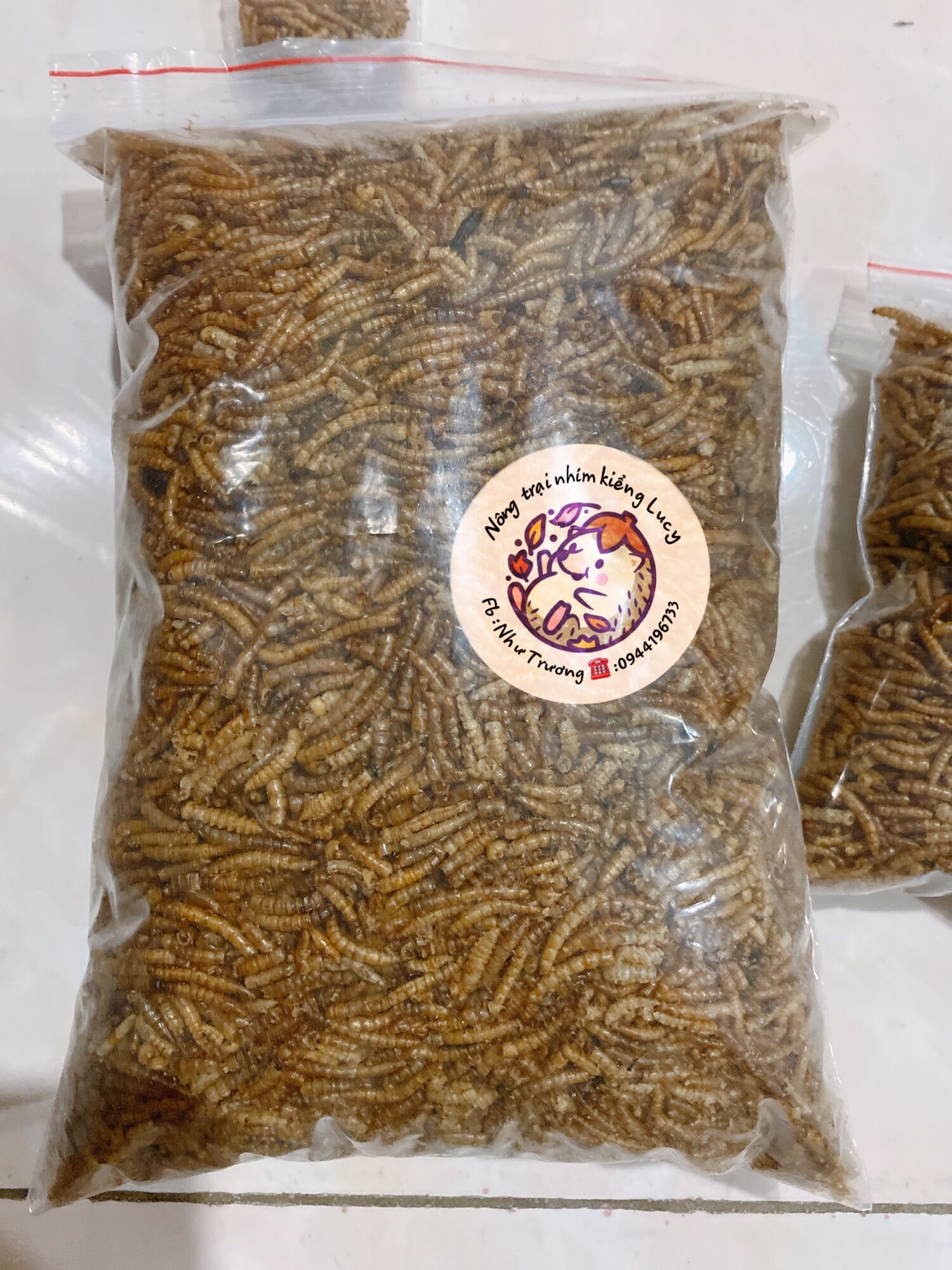 Sâu rang superworm 500g dành cho nhím kiểng,hamster,sóc….