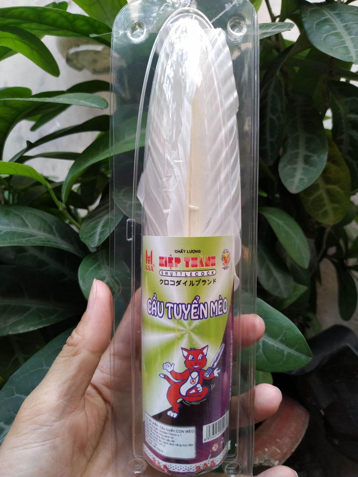 Cầu Đá Lông Gà Hiệp Thành AAA