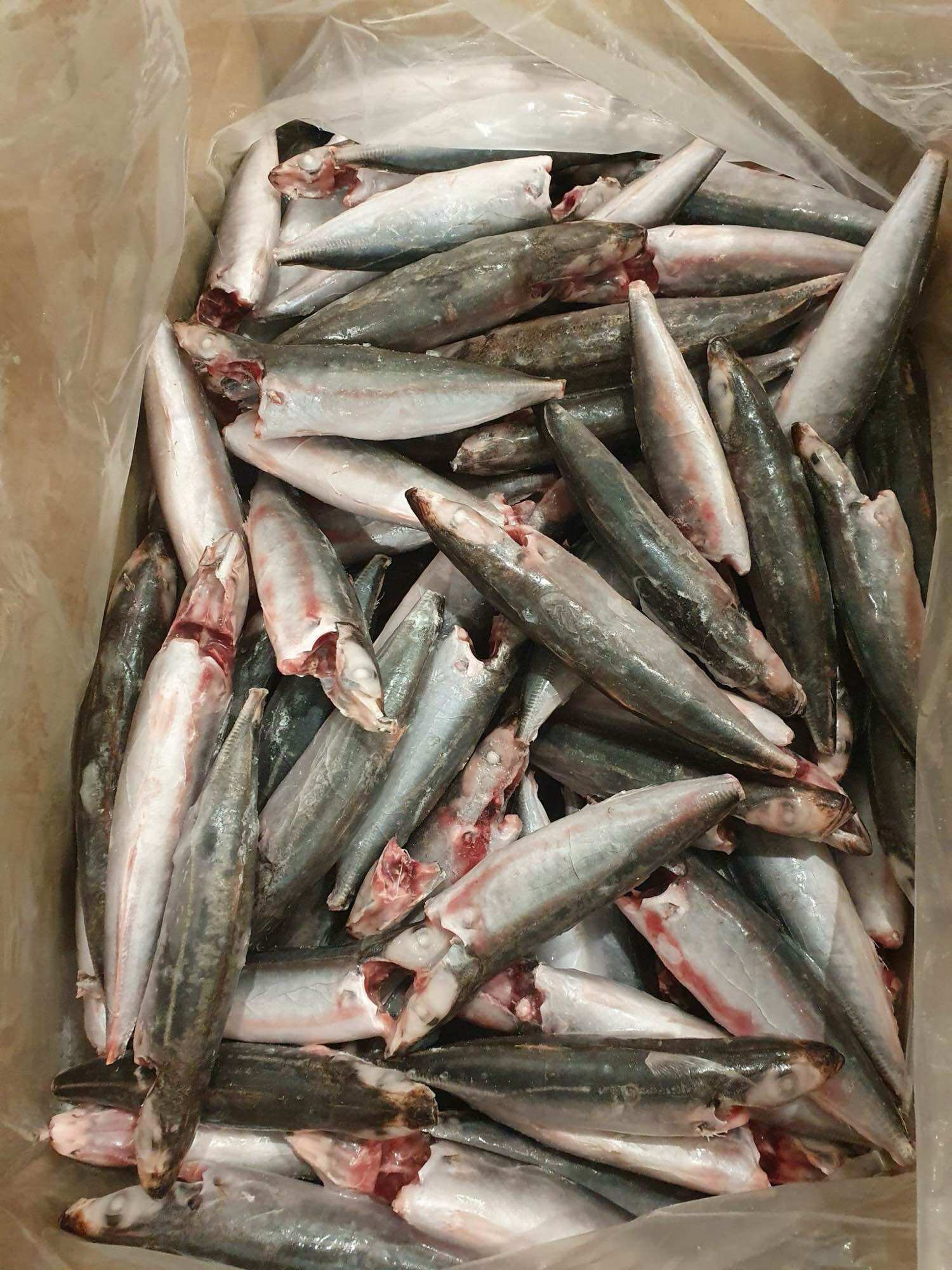 Cá nục mần sạch túi 1kg (giao tphcm)