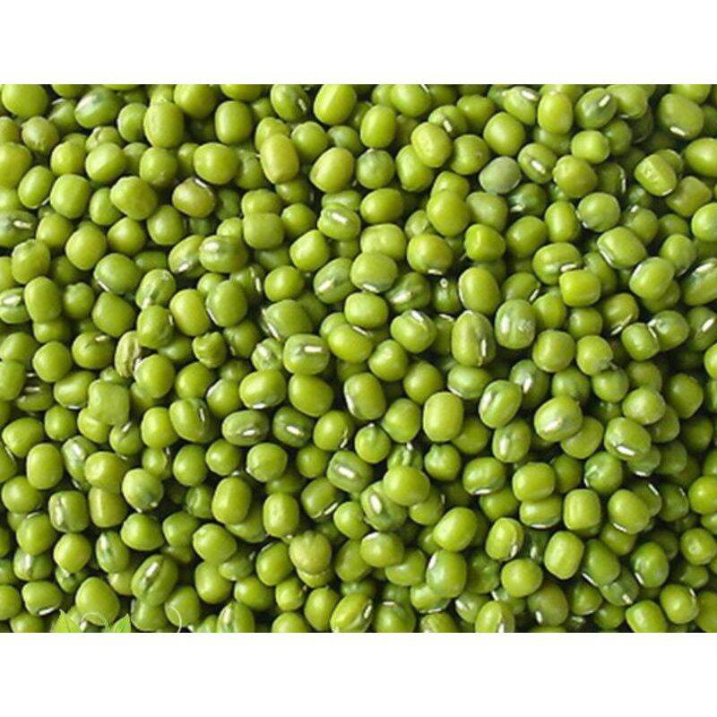 Đậu xanh nguyên hạt trồng giá 200g