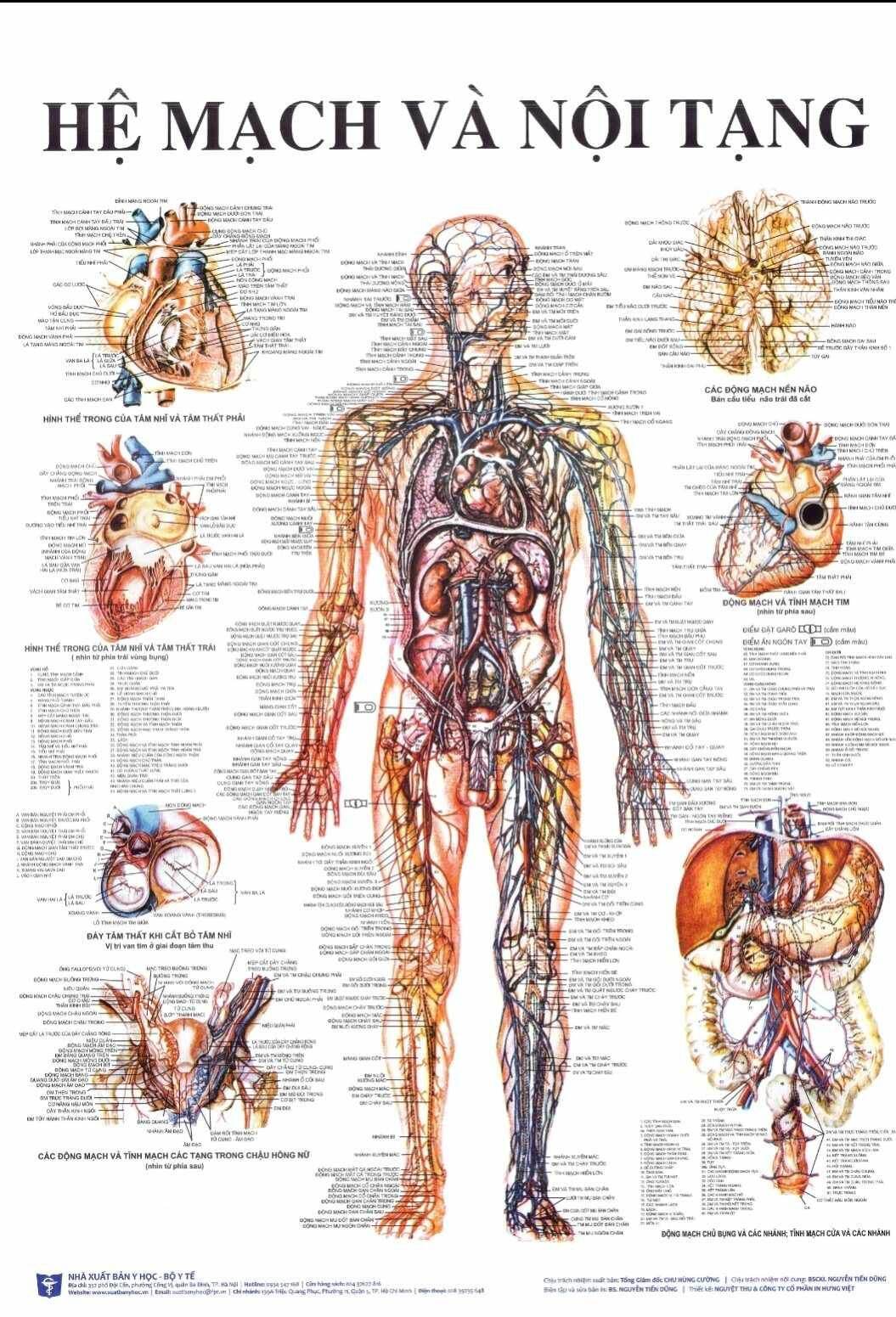 tranh giải phẫu các hệ của cơ thể