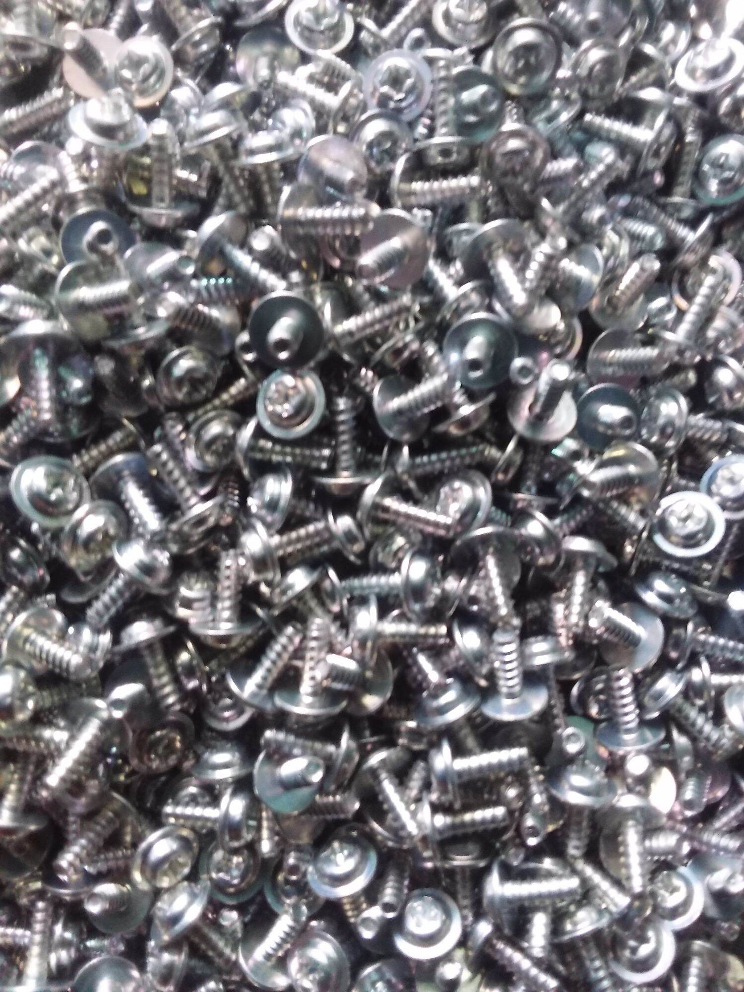 100 GAM VÍT BẮT SÒ 3 LY -1 PHÂN