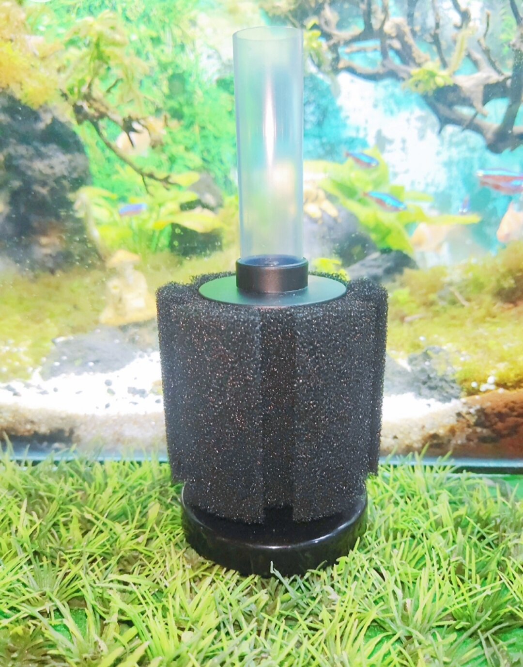 Lọc Sủi Vi Sinh Bio Xy-180