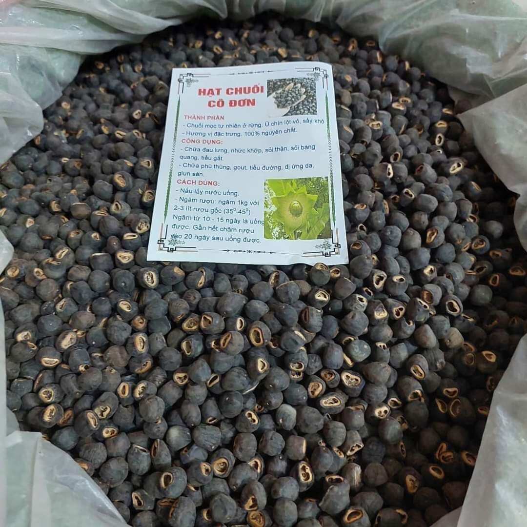 Chuối hột rừng cô đơn