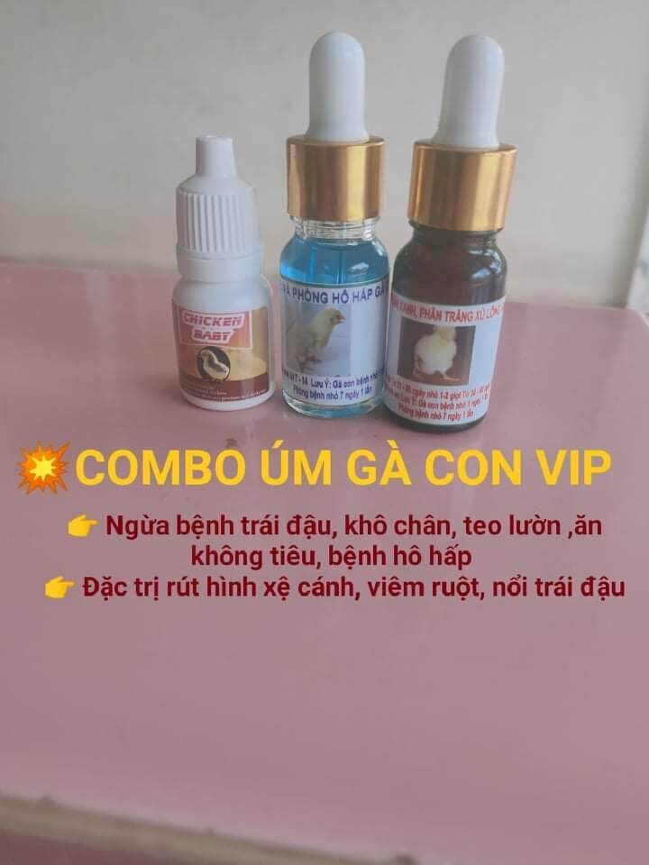 Combo úm gà con
