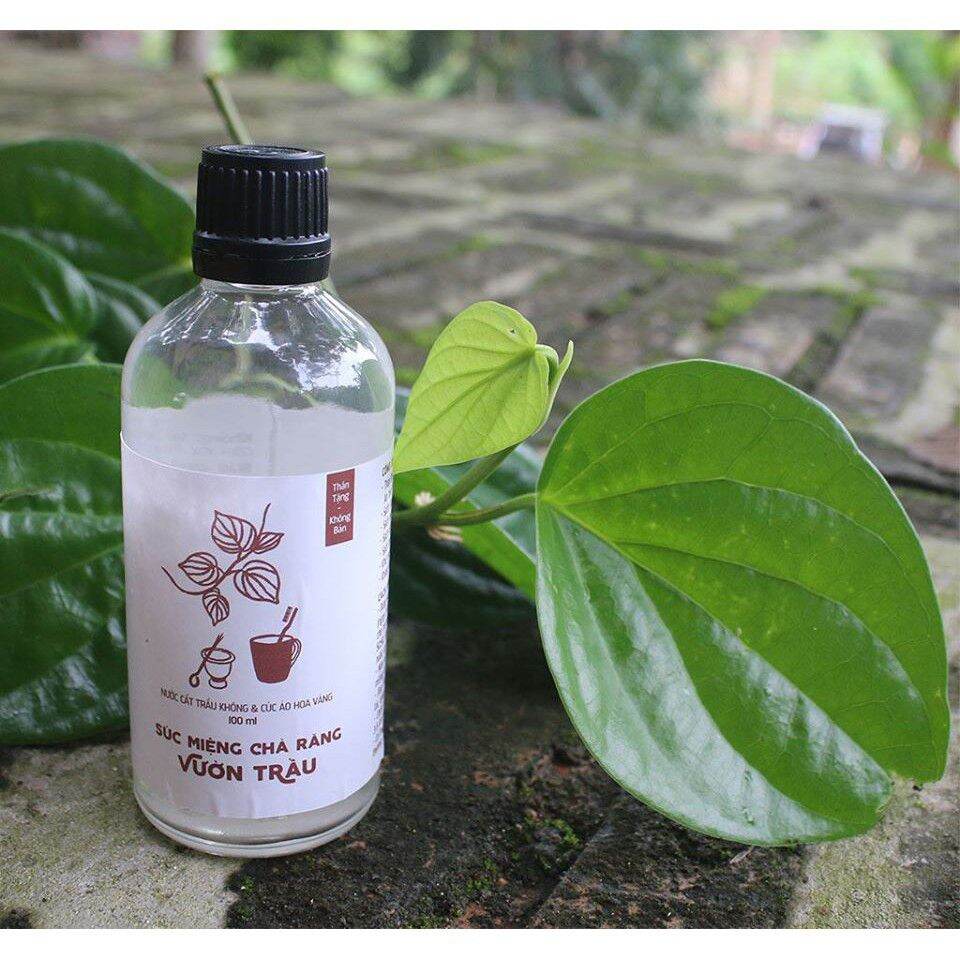Nước cất trầu không Vietherb