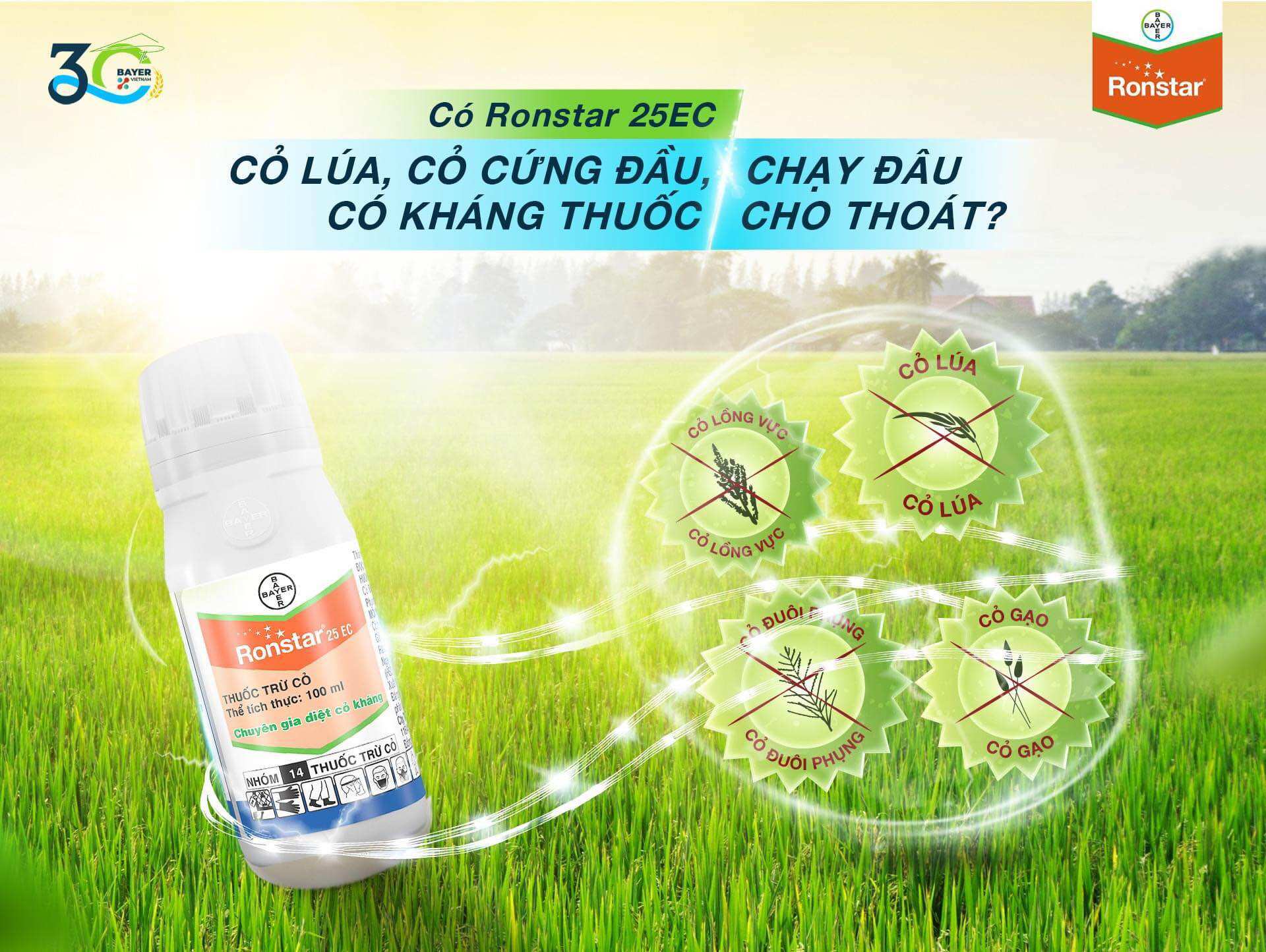 Thuốc trừ cỏ tiền nảy mầm Ronstar 25EC