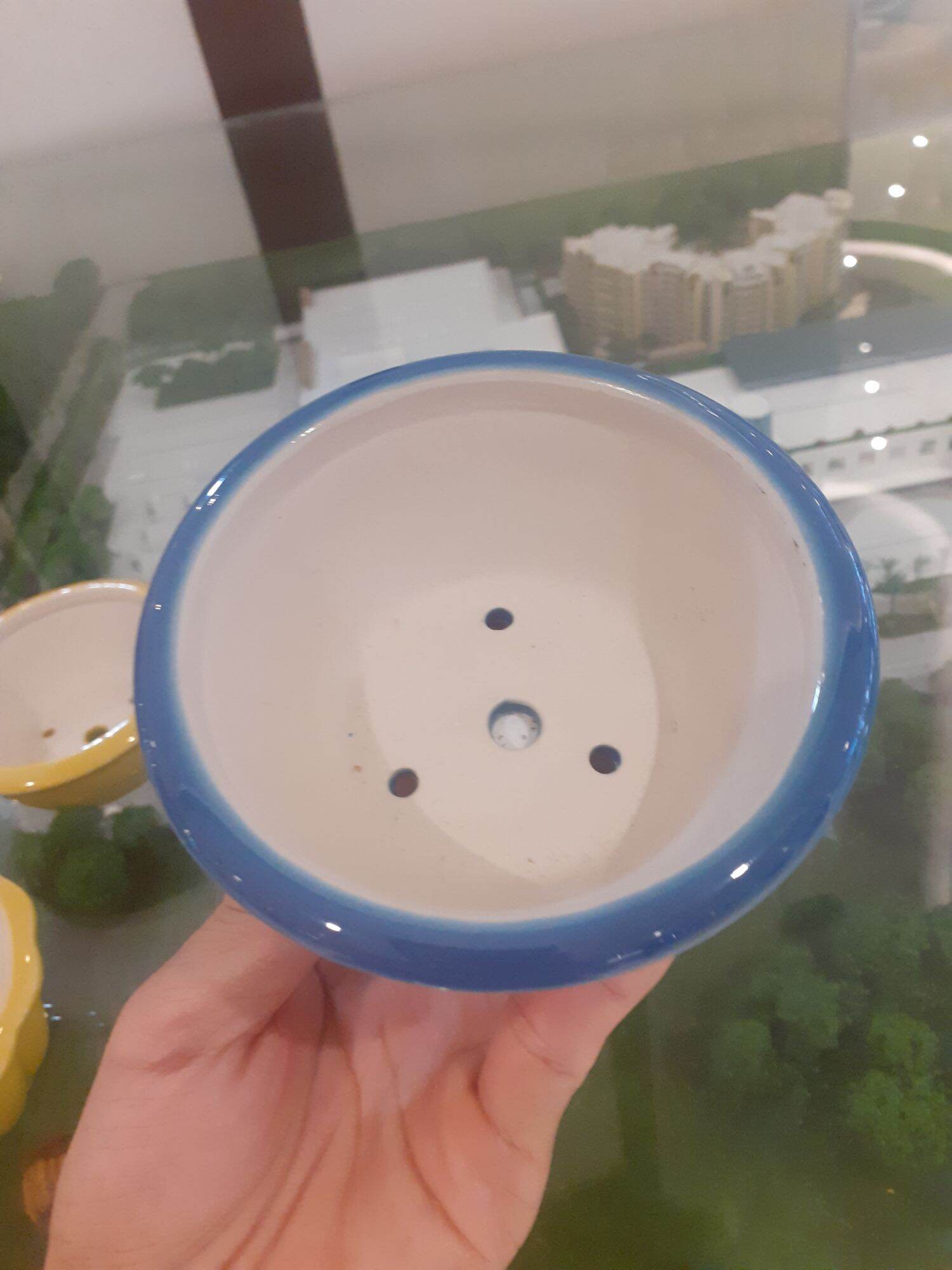 Chậu bon sai mini