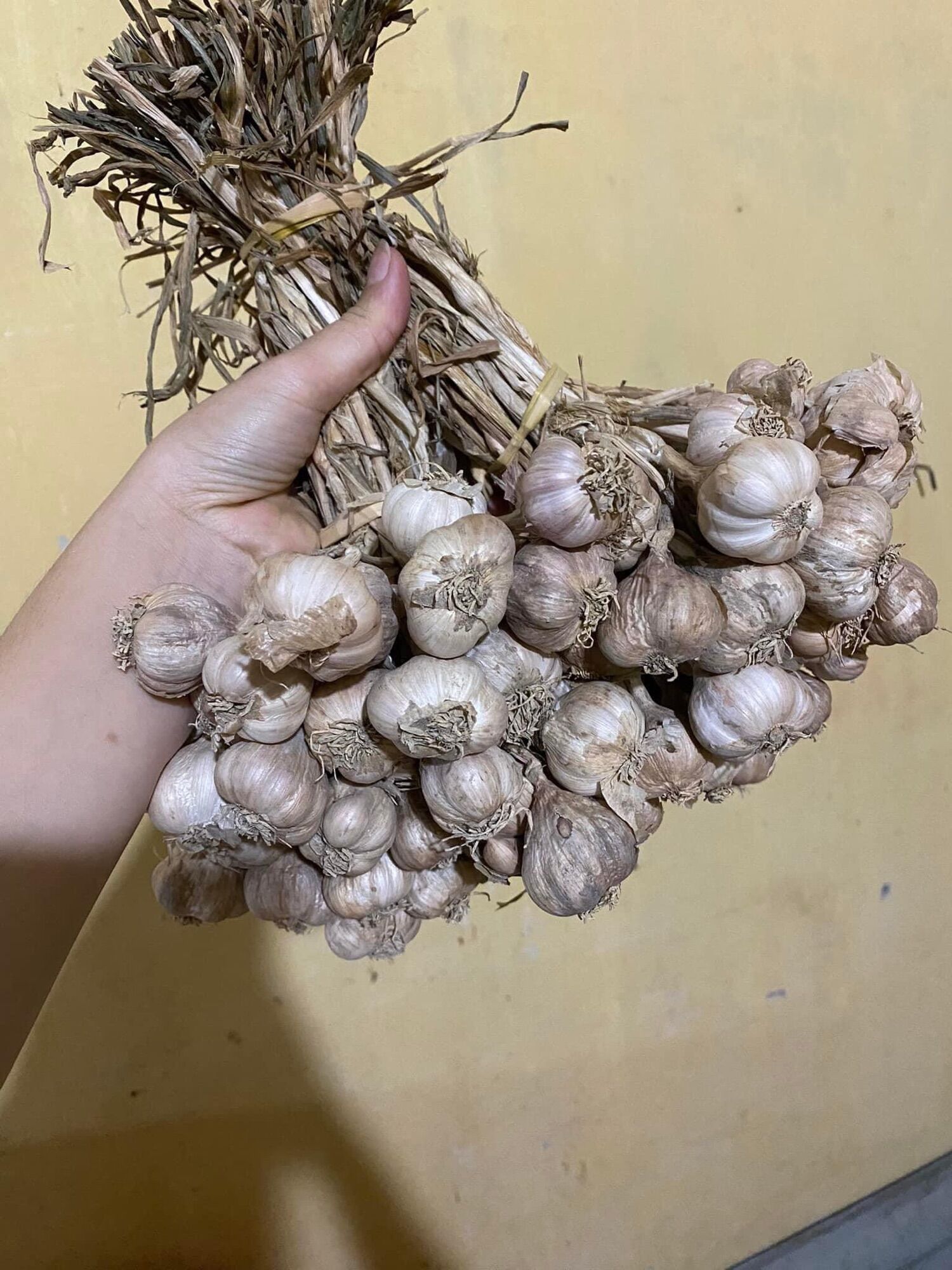 Tỏi ta 1kg