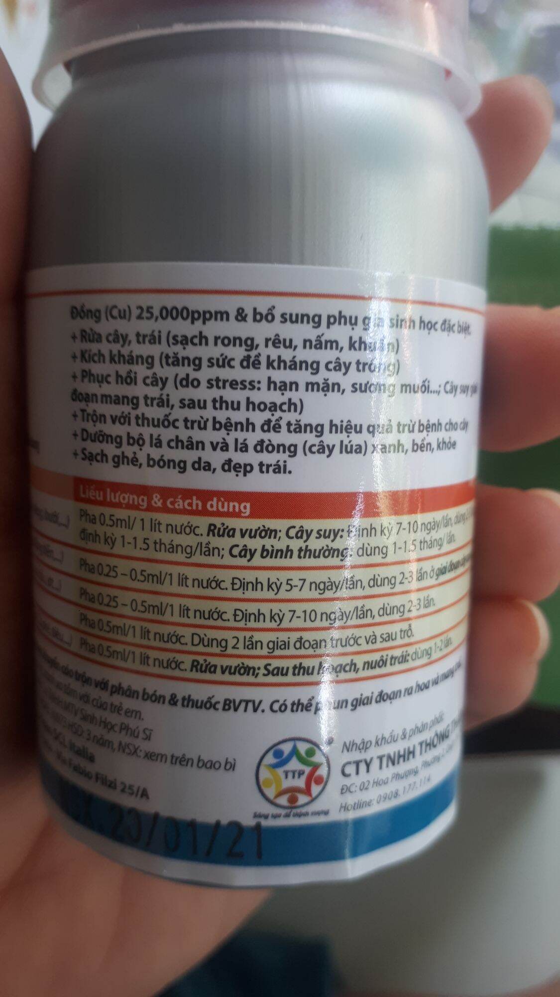 Bệnh ghẻ xì mủ ở cây.