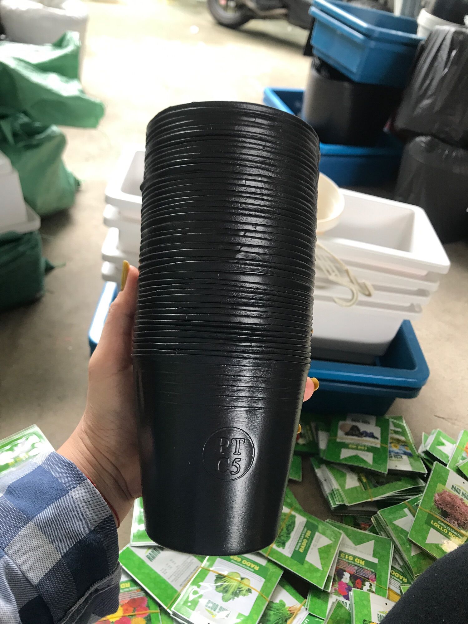 Combo 10 - 20 chậu nhựa ươm cây C5
