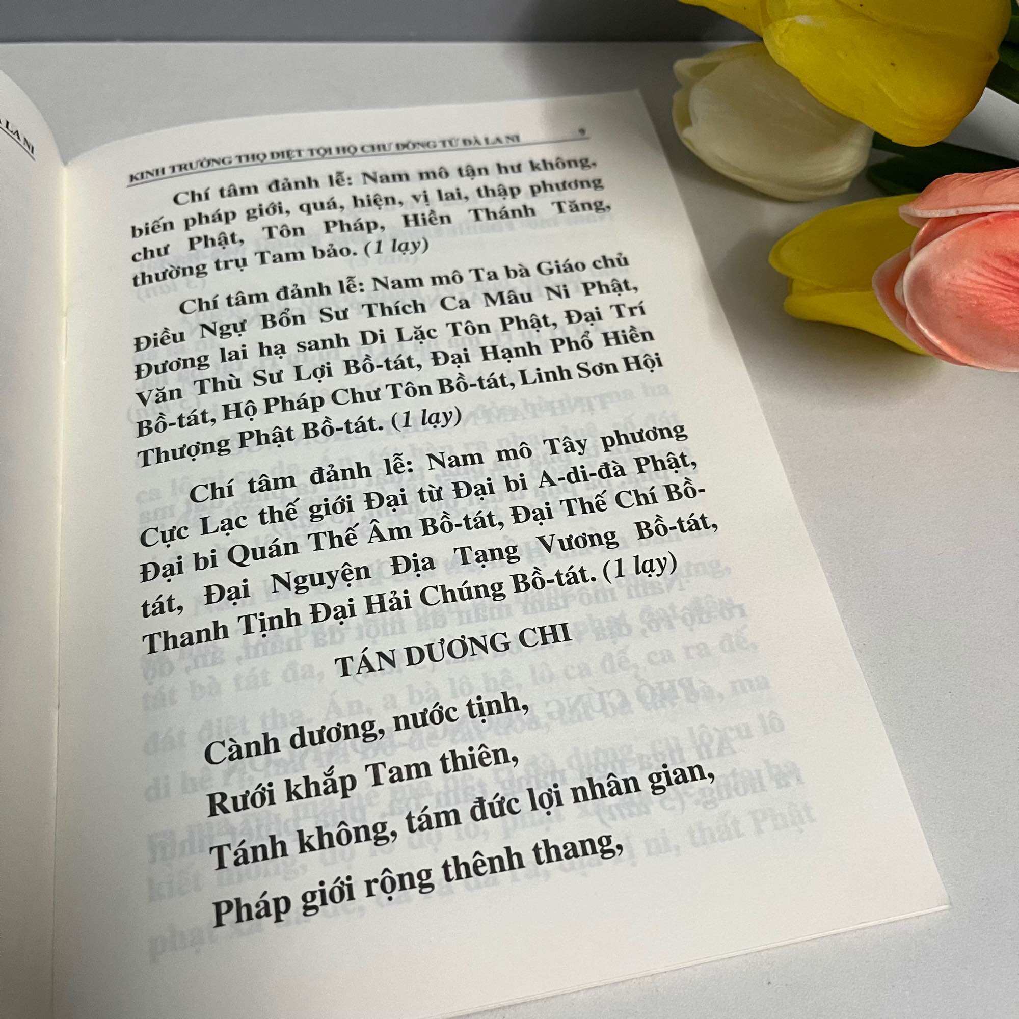 Kinh Trường Thọ Diệt Tội