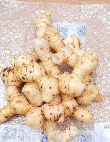 0,5kg riềng tươi nhà trông