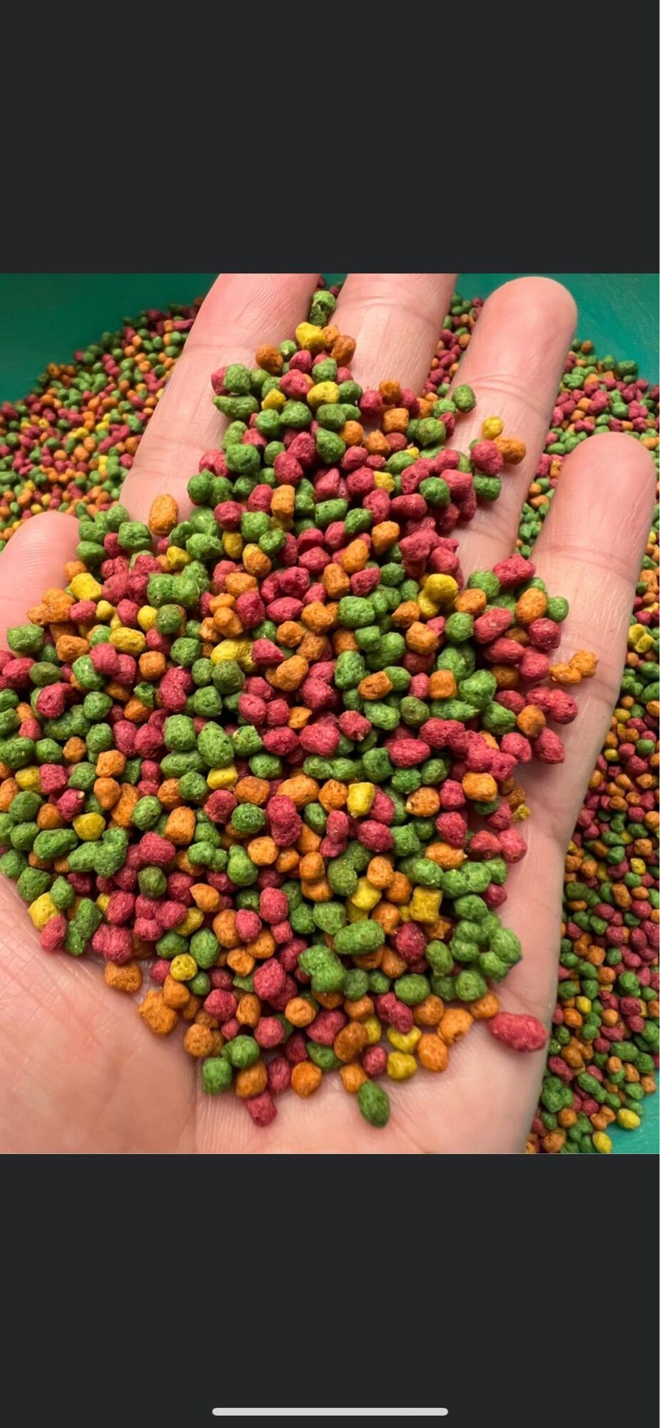 Cám hót hàng Thái dành cho chim chào mào gói lẻ 100g