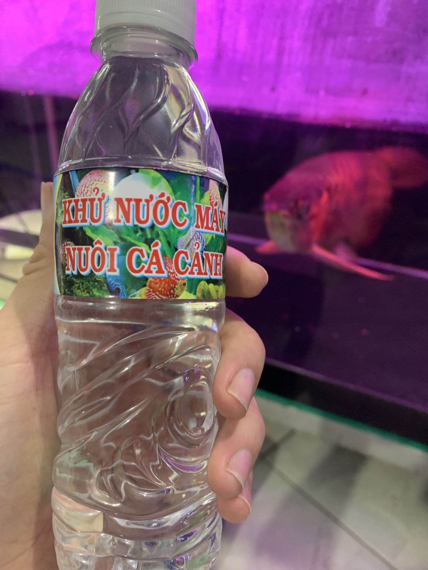 Khử Nước Máy Nuôi Cá Cảnh