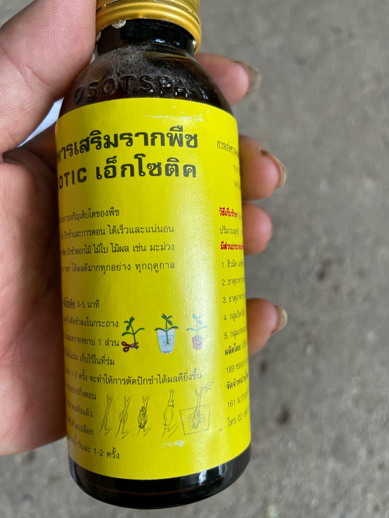 Kích Rễ Thái Lan Cực Mạnh Mới 100ml