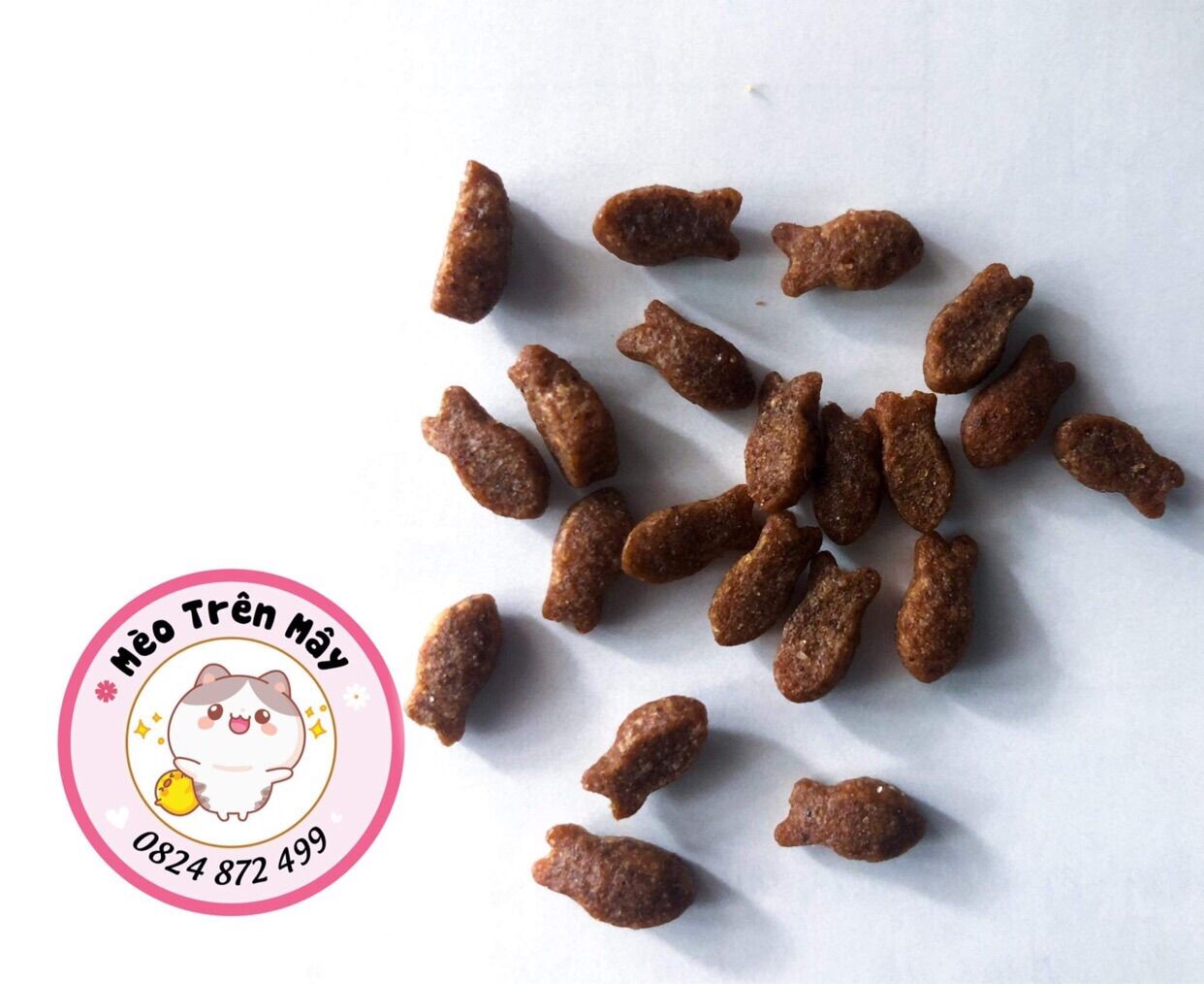HẠT CATEYE BAO 13,5kg ❤️ Thức ăn Hàn Quốc ❤️