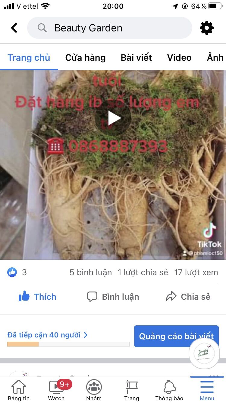 Sâm tươi Geumsam Hàn Quốc