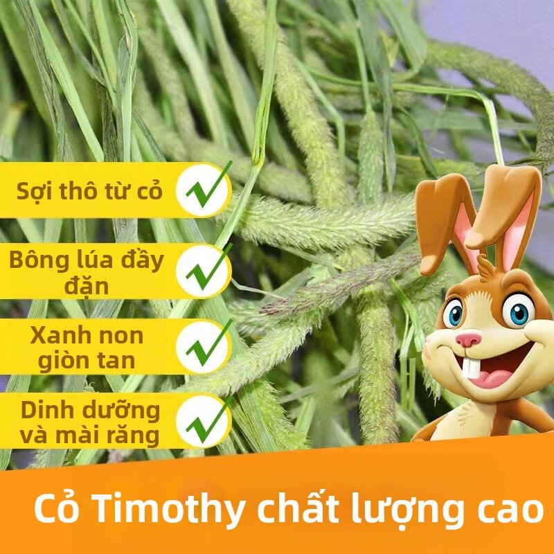 KuoLi | Cỏ Timothy cho Thỏ và Chuột Hamster