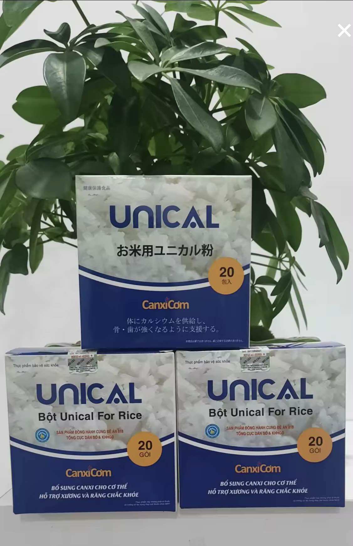 COMBO 5 HỘP CANXI CƠM NHẬT BẢN CHÍNH HÃNG
