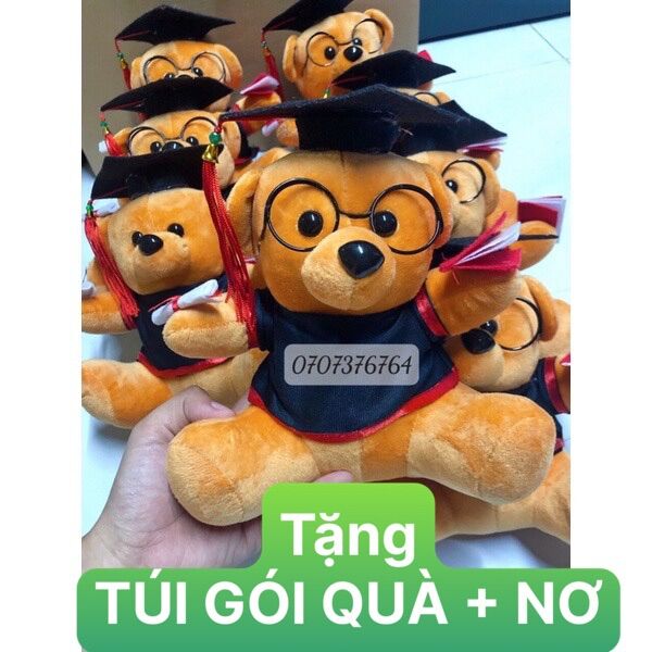 Gấu tốt nghiệp-gấu cử nhân 20cm-lông mềm mịn