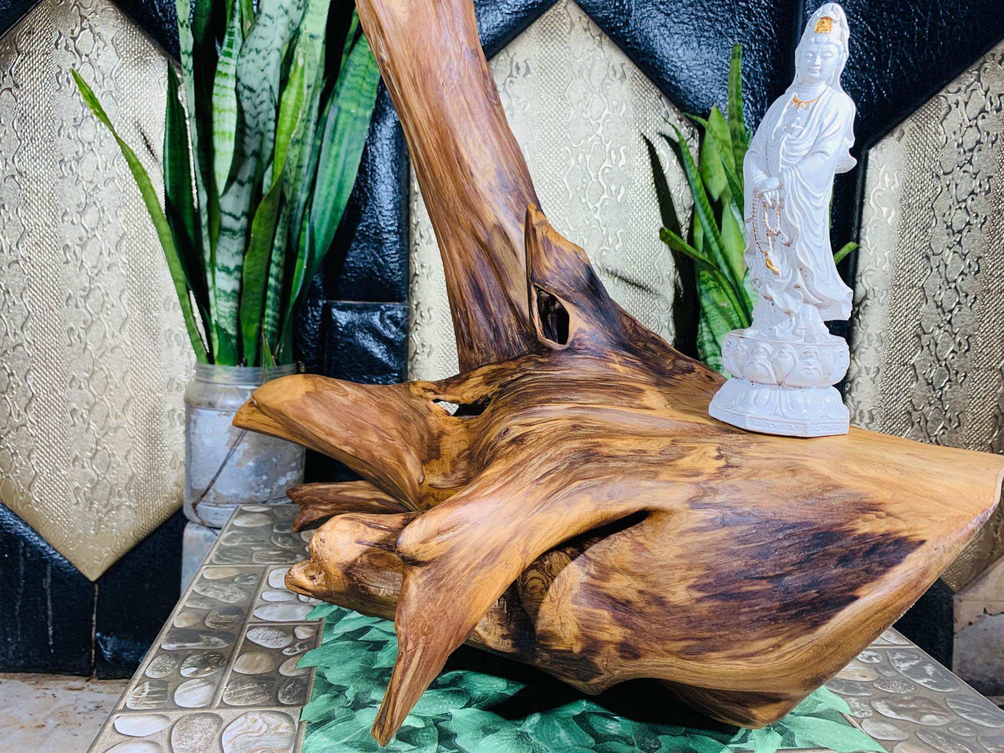 lũa ngọc am đỏ hà giang, hàng sụn gỗ già đanh.