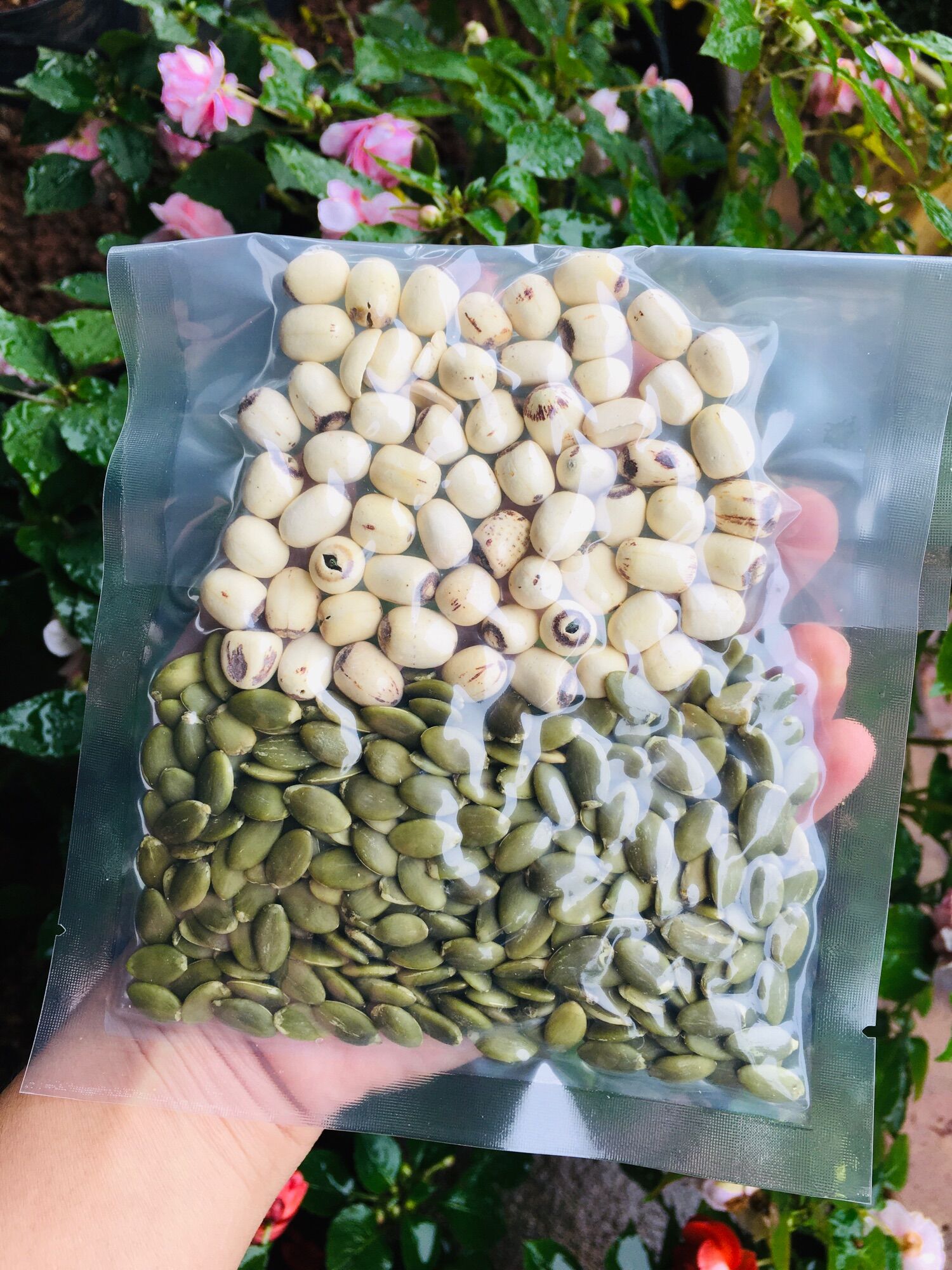 Sét 10 gói sữa hạt dinh dưỡng 100g/gói