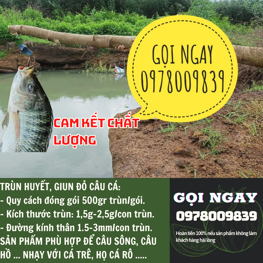 Trùn câu cá 0.5kg