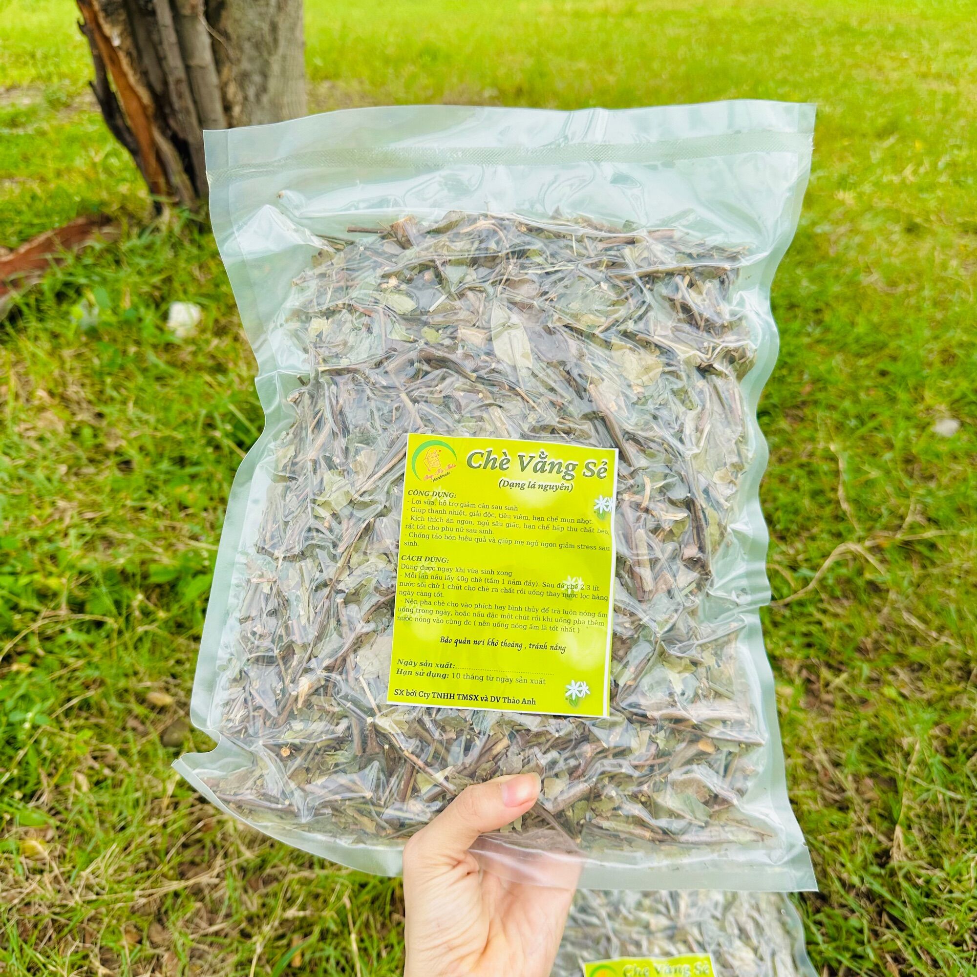 Chè vằng sẻ giảm cân lợi sữa