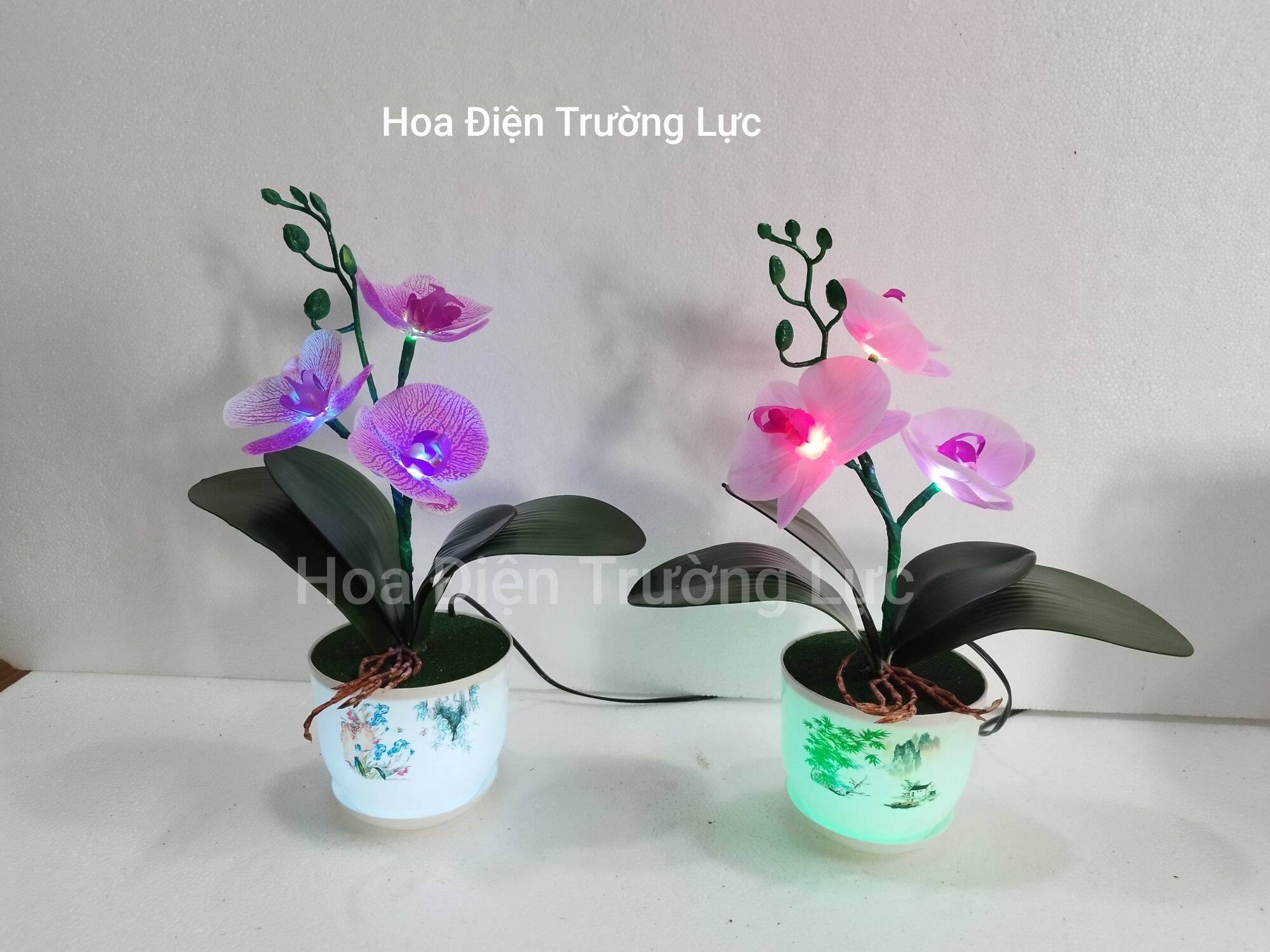 Chậu hoa lan gắn đèn cao 35 cm