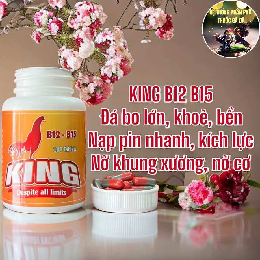 THUỐC GÀ ĐÁ KING B12 B15 GOM BO KÍCH LỰC CHO CHIẾN KÊ HỘP 100 VIÊN