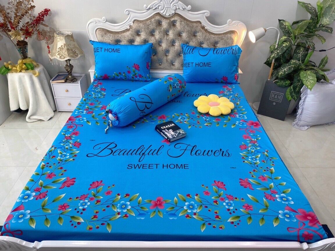 Set 4 drap áo gối thun lạnh hàn quốc