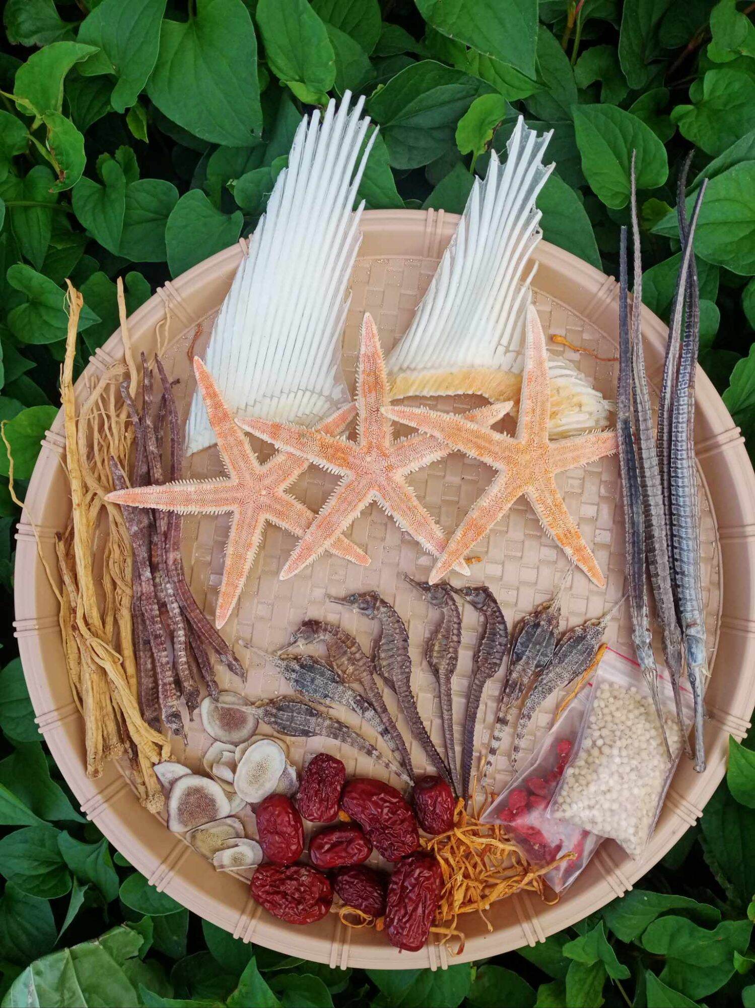 combo cá ngựa ngâm 3 lít