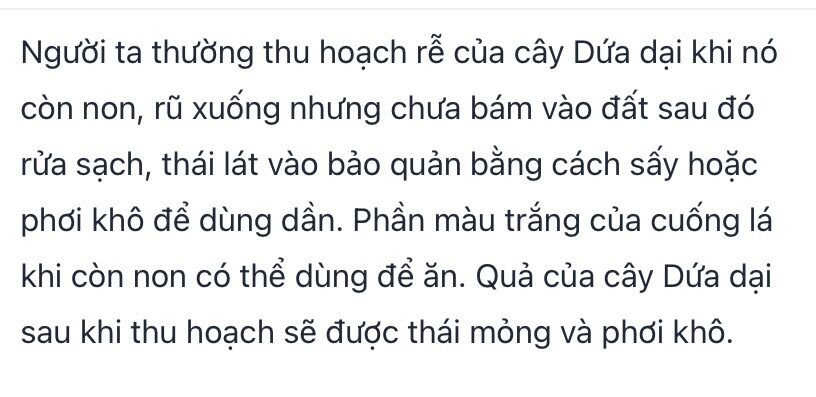 Cây dứa dại đa công dụng (cây giống có rễ)