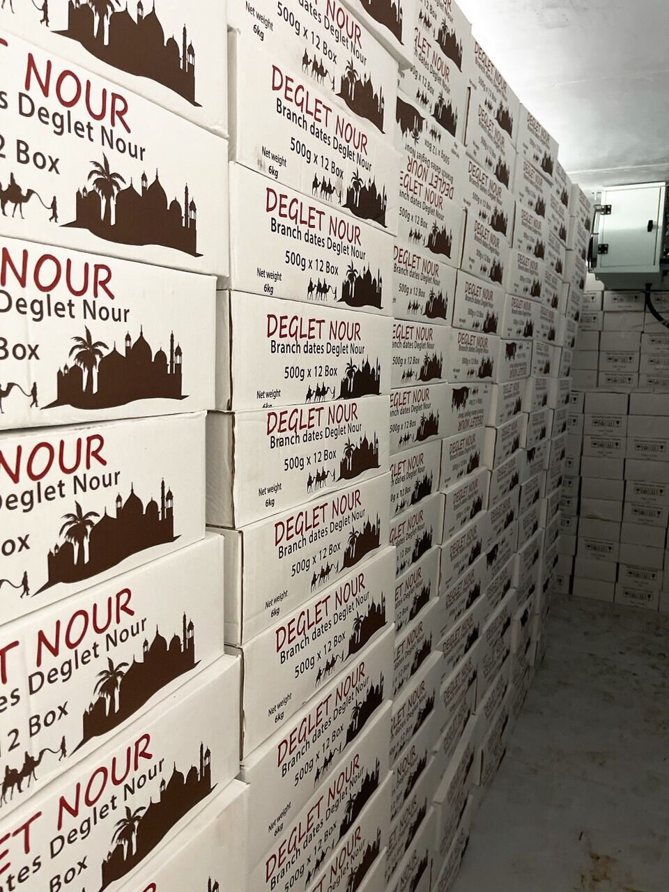 Chà Là Sấy Khô Nguyên Cành 500g