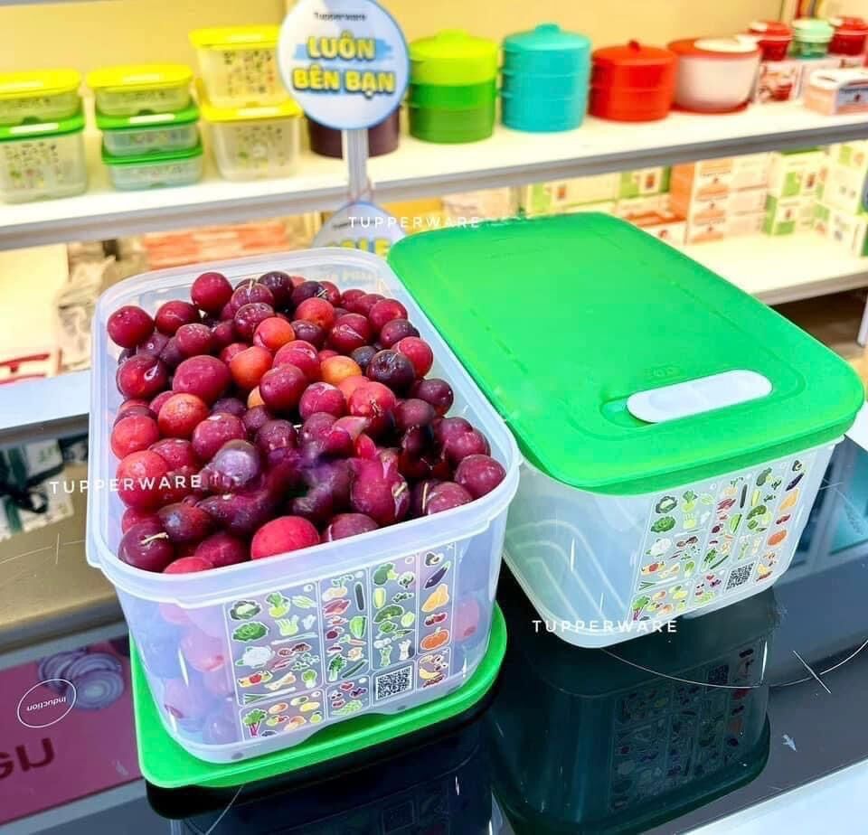 [HCM]Hộp trữ mát Vensmart 4.4L