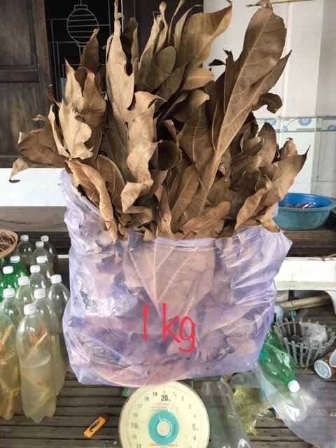 500g lá sake khô rụng tự nhiên