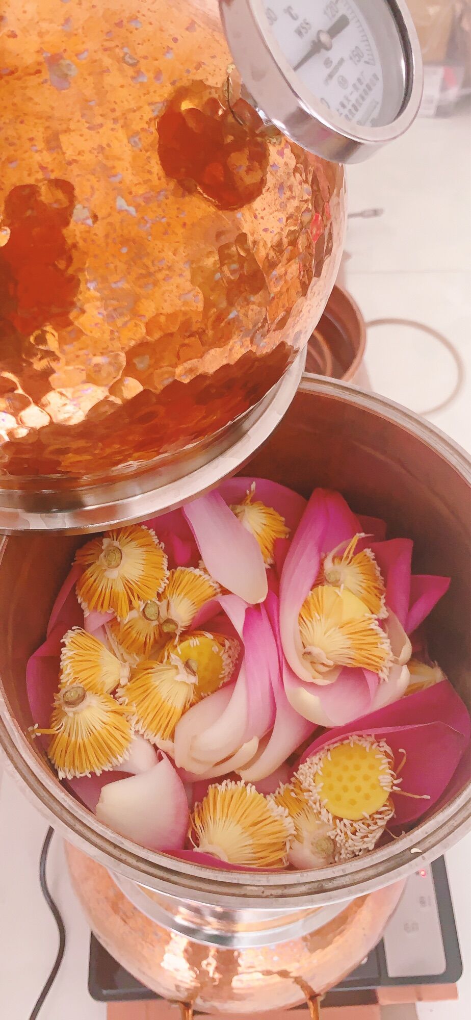 Nước chưng cất hoa sen Hiltown
