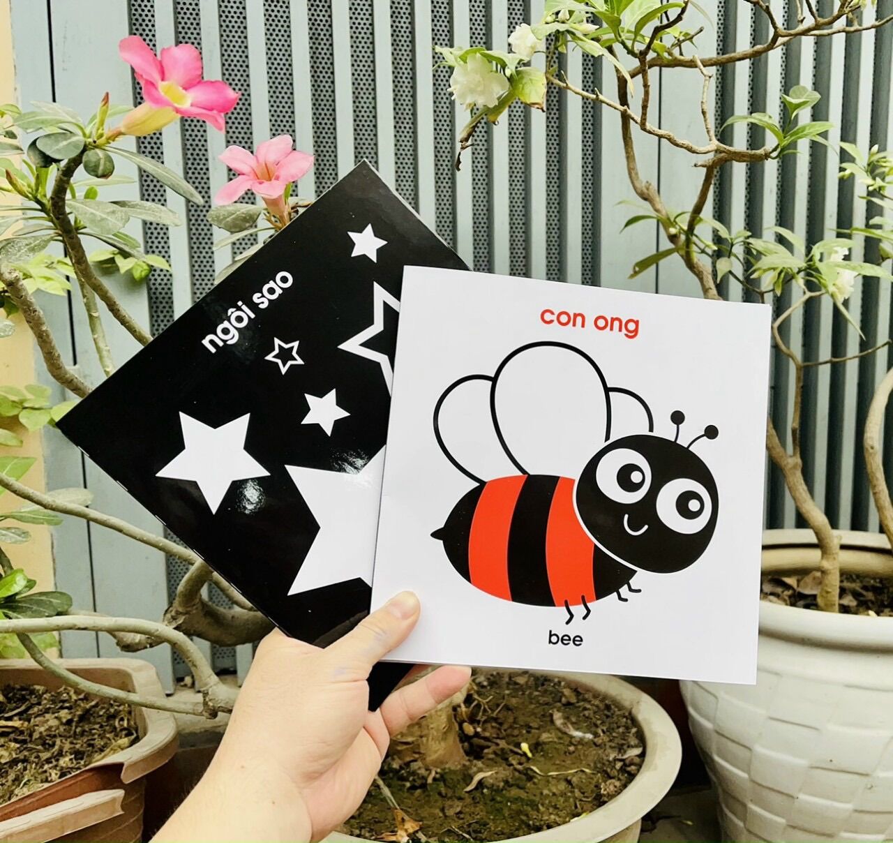 Thẻ Kích Thích Thị Giác Cho Trẻ Sơ Sinh