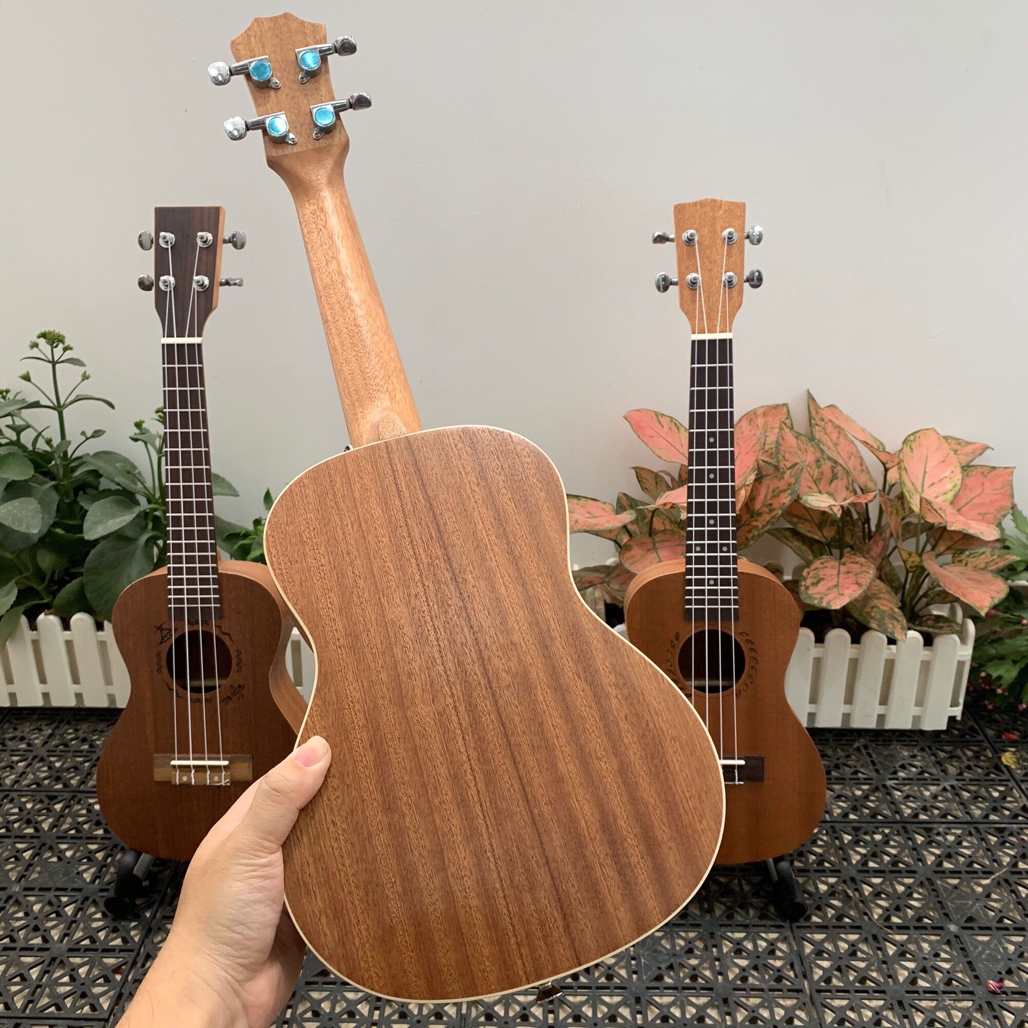 (RẺ VÔ ĐỊCH) ĐÀN UKULELE CONCERT BWS KẺ VIỀN