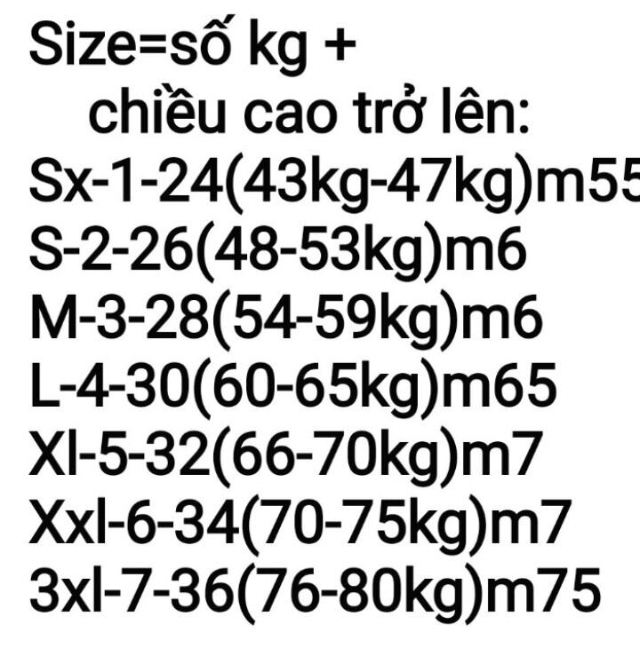 ĐỒ LAM ĐI CHÙA - MẪU THUN TRỤ PHỐI