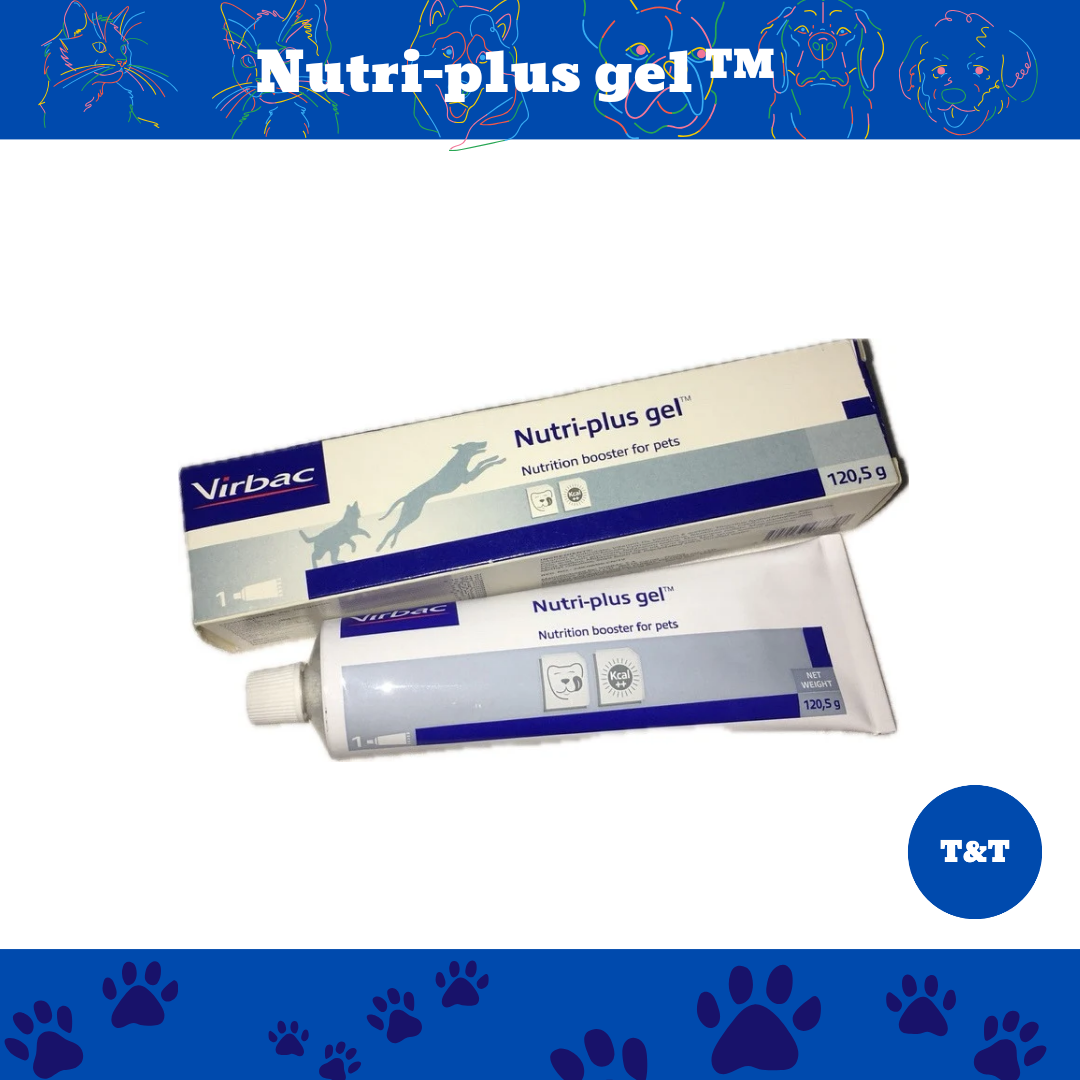 Nutri Plus Gel sản phẩm bổ sung dinh dưỡng cho chó mèo