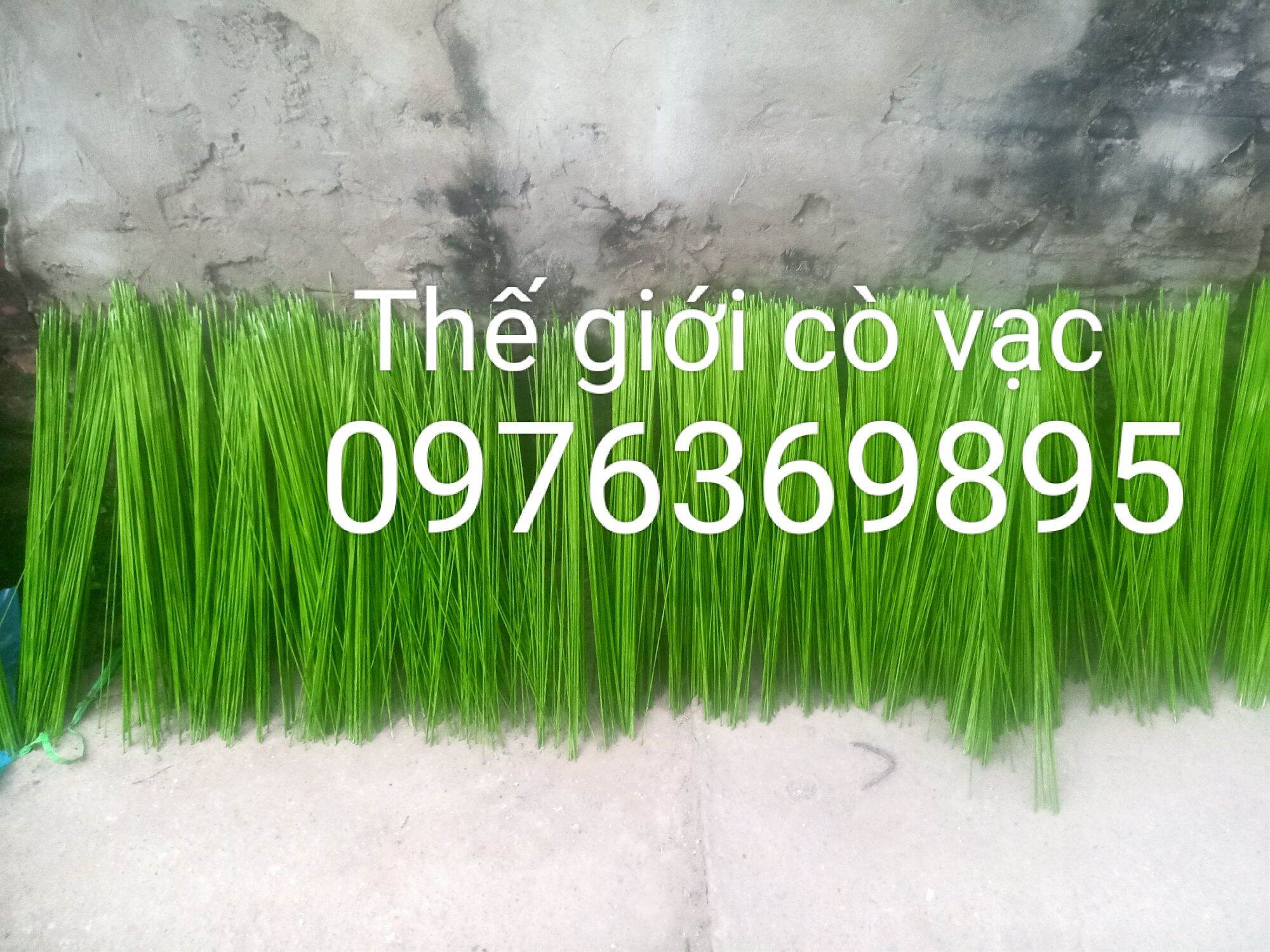 Nan cáp quang 1li7 cò vạc dài 50cm