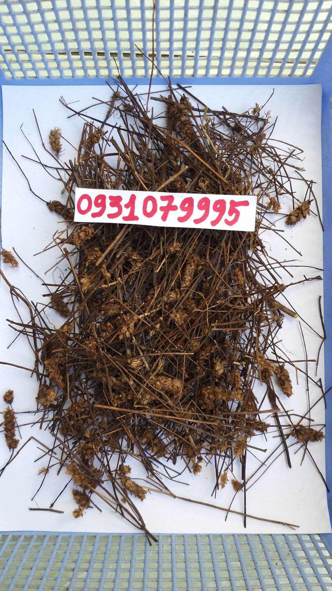 cây nhan trần nam phơi khô 1kg