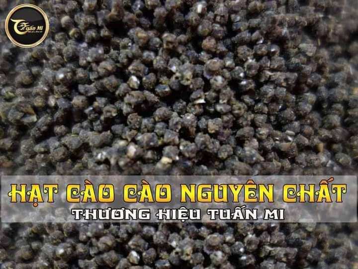 Hạt Cào Cào hạt to ( Tuấn Mi )