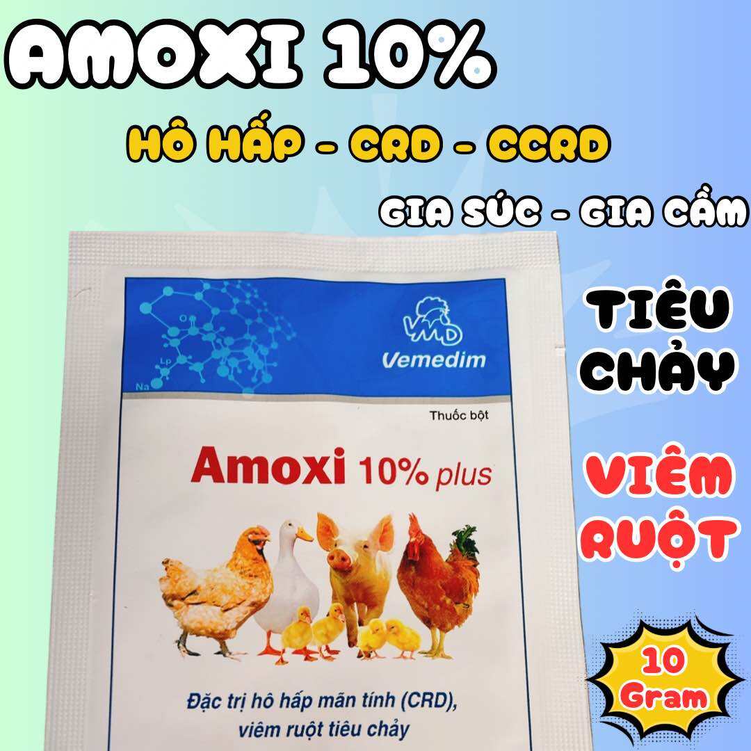 Amoxi 10% plus phòng hen khẹt, viêm ruột gà đá